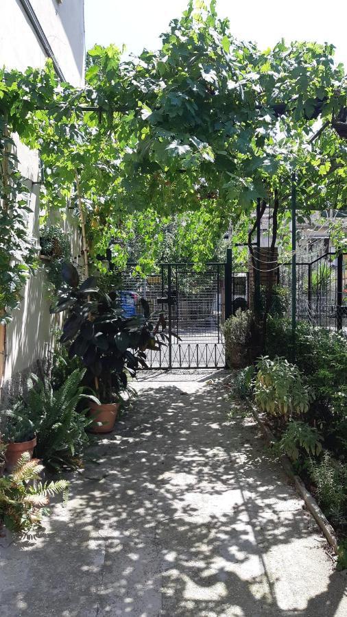 Casa Sofia - Appartamento Con Parcheggio Riservato Terni Eksteriør billede